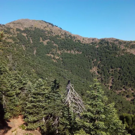 Rurales Mirador De *